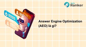 aeo là gì