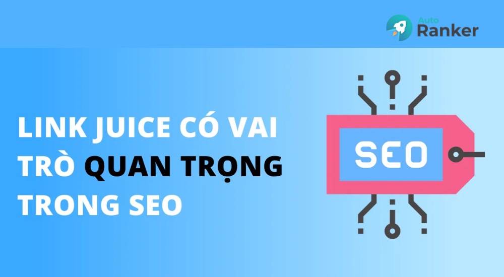 Link Juice có vai trò quan trọng trong SEO