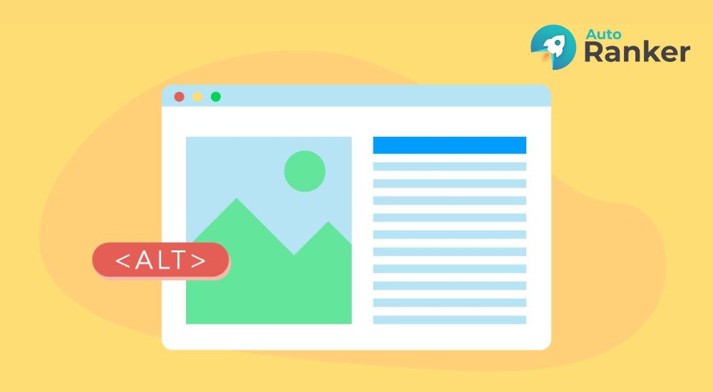 Alt Text là gì? Mô tả hình ảnh, hỗ trợ SEO hình ảnh và trình đọc màn hình