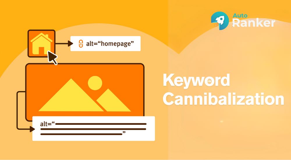 Hướng dẫn chèn thẻ Alt và kiểm tra SEO hình ảnh hiệu quả