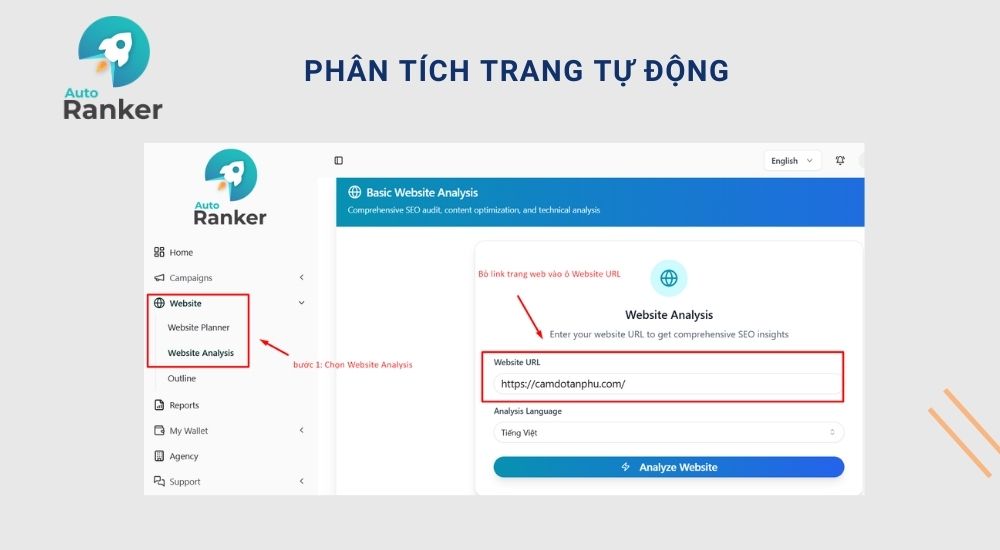 phân tích trang tự động của Auto Ranker