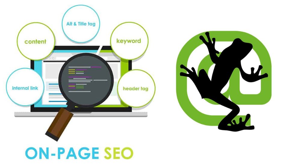 Tối ưu SEO On-page hiệu quả với Screaming Frog 